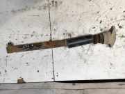 Stoßdämpfer hinten links AUDI A6 (4F2, C6) 2.7 TDI