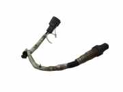 Sauerstoffsensor (Lambdasensor)