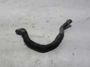 Wasserkühlerschlauch rechts