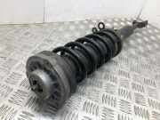 Stoßdämpfer vorne links BMW 5 (F10) 525 d 814904006456 105414