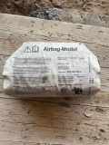 Passenger Safety Bag SRS AUDI A8 D3 (4E2, 4E8) 4.0 TDI quattro 4E0880203C