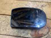 Türspiegelglas vorne links