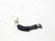 Wasserkühlerschlauch rechts RENAULT ESPACE V (JR_) 2.0 dCi (JK02, JK03) 140551371R