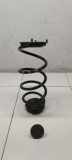 Fahrwerksfeder hinten rechts RENAULT CLIO V (B7_) 1.3 TCe 130 (B7MF)