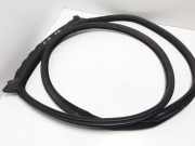 Türgummi links vorne BMW 5er Gran Turismo (F07)