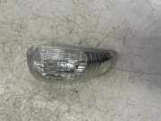 Blinker am Türspiegel vorn rechts RENAULT MASTER III Furgon (FV) 2.3 dCi 125 FWD (FV0C, FV0D)