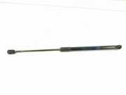 Heckklappe Gasdruckfeder links MERCEDES-BENZ A (W177) A 200 (177.087) A1779800164