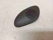 Türlautsprecher vorne links