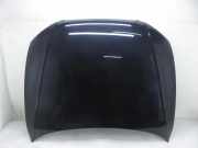 Motorhaube AUDI A5 (8T3) 2.7 TDI