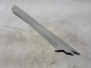 Säulenverkleidung vorne links RENAULT SCÉNIC IV (J9_) 1.6 dCi 130 769121504R