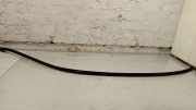 Dachleiste links MERCEDES-BENZ C Coupe (C205) C 250 d (205.308)
