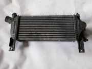 Ladeluftkühler Nissan Navara (D40) 14461EB360