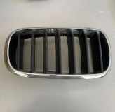 Vorderer oberer Gitter BMW X5 (F15, F85) xDrive 40 d 7316054