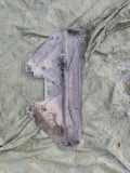 Bodenschutz der Frontstoßstange BMW 3 Touring (E91) 320 d 51757128503