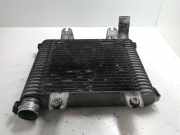 Ladeluftkühler Kia Carnival II (UP) OK55313550