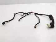 Türverkabelung hinten rechts NISSAN MURANO I (Z50) 3.5 4x4 CC000 6101000099F1