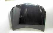 Motorhaube MERCEDES-BENZ E (W212) E 220 CDI / BlueTEC (212.001, 212.002)