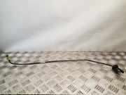 Kupplungsrohr RENAULT TRAFIC III Furgon (FG_) 1.6 dCi 115 308519788R