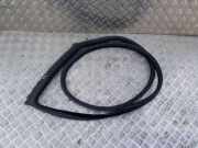 Türgummi links vorne BMW 5er Gran Turismo (F07) 7196349