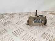 Expansionsventil für Klimaanlage Ford S-Max I (WA6) 9G9119849AA