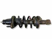 Stoßdämpfer hinten links HONDA CR-V III (RE_) 2.2 i-CTDi 4WD (RE6)
