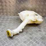 Behälter Scheibenwaschanlage Chrysler Sebring (JS) 05116309AC
