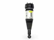 Stoßdämpfer links hinten Jaguar XJ (X350, X358) 297128