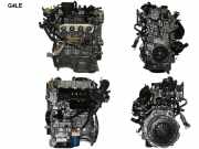 Motor ohne Anbauteile (Benzin) Kia Niro I (DE) G4LE