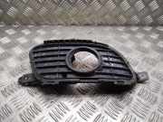 Blende Nebelscheinwerfer Mercedes-Benz A-Klasse (W169) A1698850622