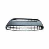 Vorderer oberer Gitter FORD FIESTA VI 1.6 TDCi 30602