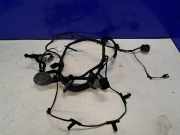 Kabel Tür vorne rechts JAGUAR F-TYPE Coupe (X152) 3.0 GX53-14630-CB