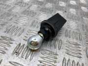 Glühlampe Xenon BMW 5er Touring (E61) 15620100