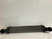 Ladeluftkühler Mercedes-Benz E-Klasse (W211) A2115001102