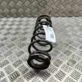 Schraubenfeder hinten links