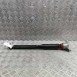 Stoßdämpfer hinten links