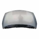 Motorhaube RENAULT ESPACE IV (JK0/1_) 2.2 dCi (JK0H)