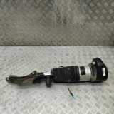 Luftstoßdämpfer vorne rechts BMW X5 (G05) xDrive 30 d HH-AF0113-310 7831561