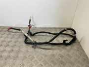 Kabelbaum BMW 4 Cabrio (F33, F83) 430 d 8577241