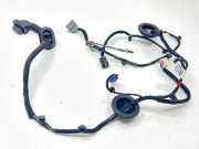 Türverkabelung hinten rechts KIA NIRO E-NIRO 91630AO120