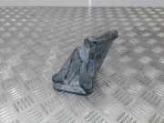 Generatorhalterung NISSAN PRIMERA (P12) 2.2 Di