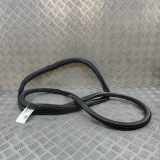 Türdichtungsgummi vorne links AUDI Q4 SUV (F4B) 35 e-tron 11A867911B