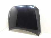 Motorhaube AUDI Q5 (8R) 2.0 TDI quattro 8R0823029