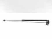 Heckklappe Gasdruckfeder rechts FORD C-MAX II (DXA/CB7, DXA/CEU) 1.0 EcoBoost AM51R406A10AE