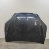 Motorhaube TESLA MODEL X P100D AWD 1069531-E0-C