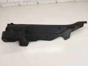 Motorabdeckung BMW X6 (F16, F86) xDrive 30 d 6439245596 15671610