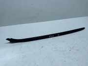Zierleiste Windschutzscheibe Frontscheibe BMW 3 (F30, F80) 320 i 223399