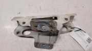 Stoßstangenhalter vorne links RENAULT TRAFIC II Furgon (FL) 2.5 dCi 135 (FL0D)