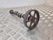 Auspuffkrümmer Audi A3 Sportback (8V) 06B109111