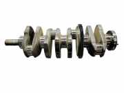 Kurbelwelle LAND ROVER FREELANDER 2 (L359) 2.2 TD4 4x4 224DT