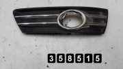 Lüftungsgitter für Stoßfänger VW Passat B6 CC (357)